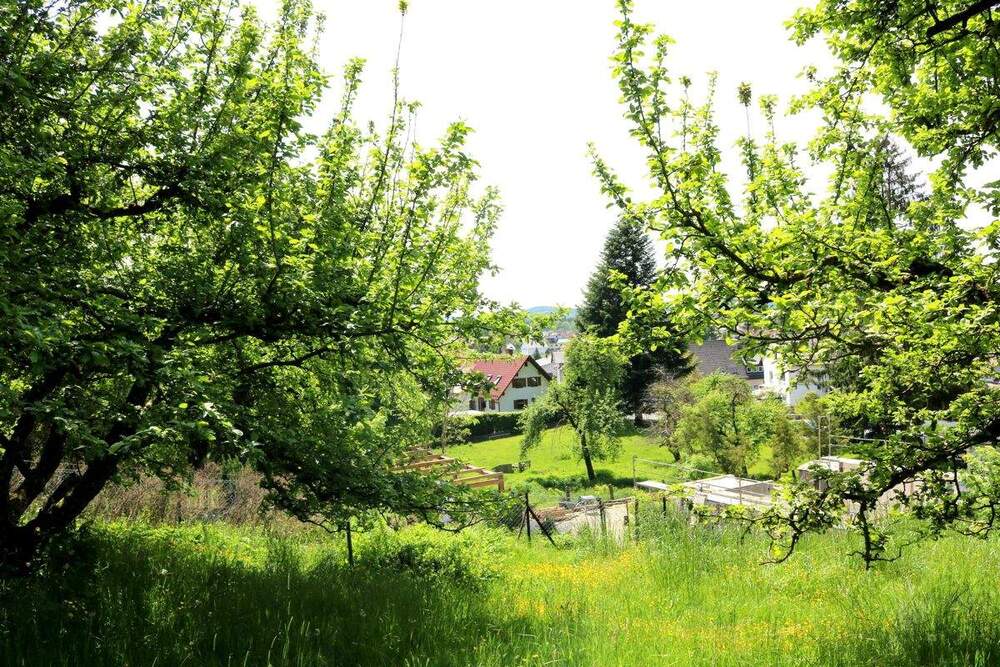 Thumbnail-Grundstück mit Altbestand in HangWaldrandlage für Naturliebhaber in AltenstadtIller