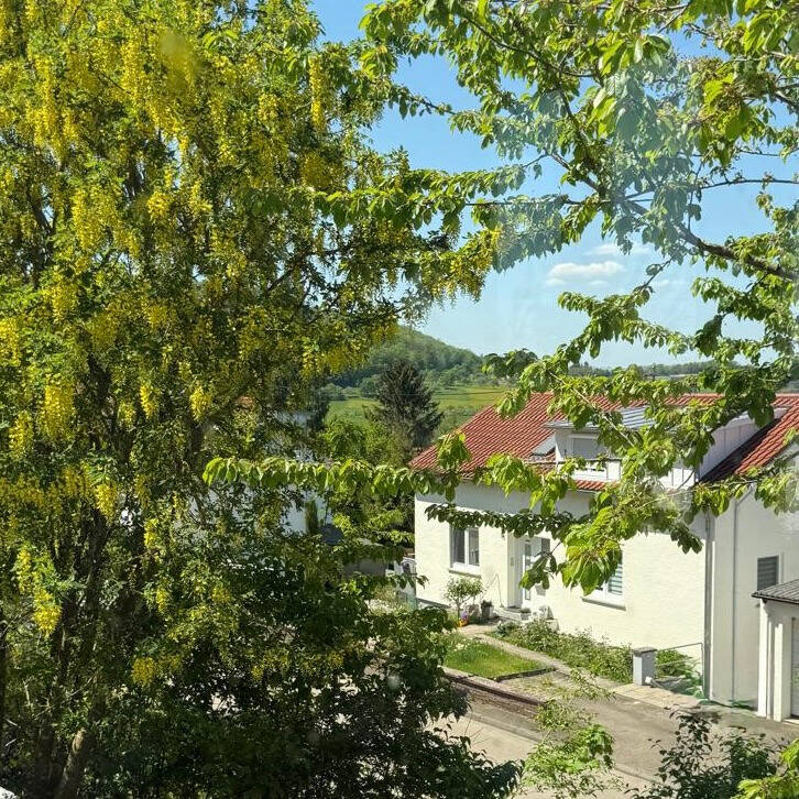 Ausblick von der Terrasse