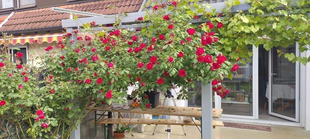 Thumbnail-Modernes Reihenhaus in Tuttlingen zu verkaufen