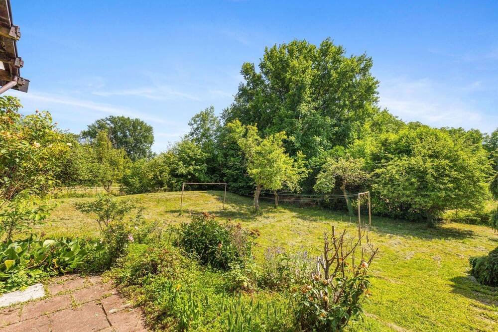 Blick in den Garten