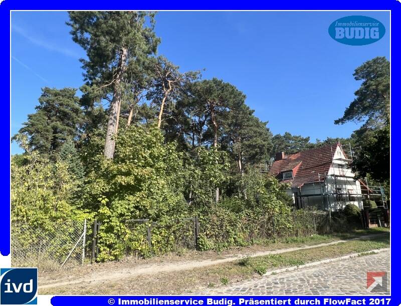 Blick von der Straße
