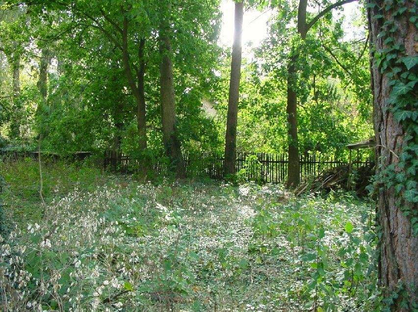 Thumbnail-Grundstück mit unverbaubarem Blick in Waldesruh