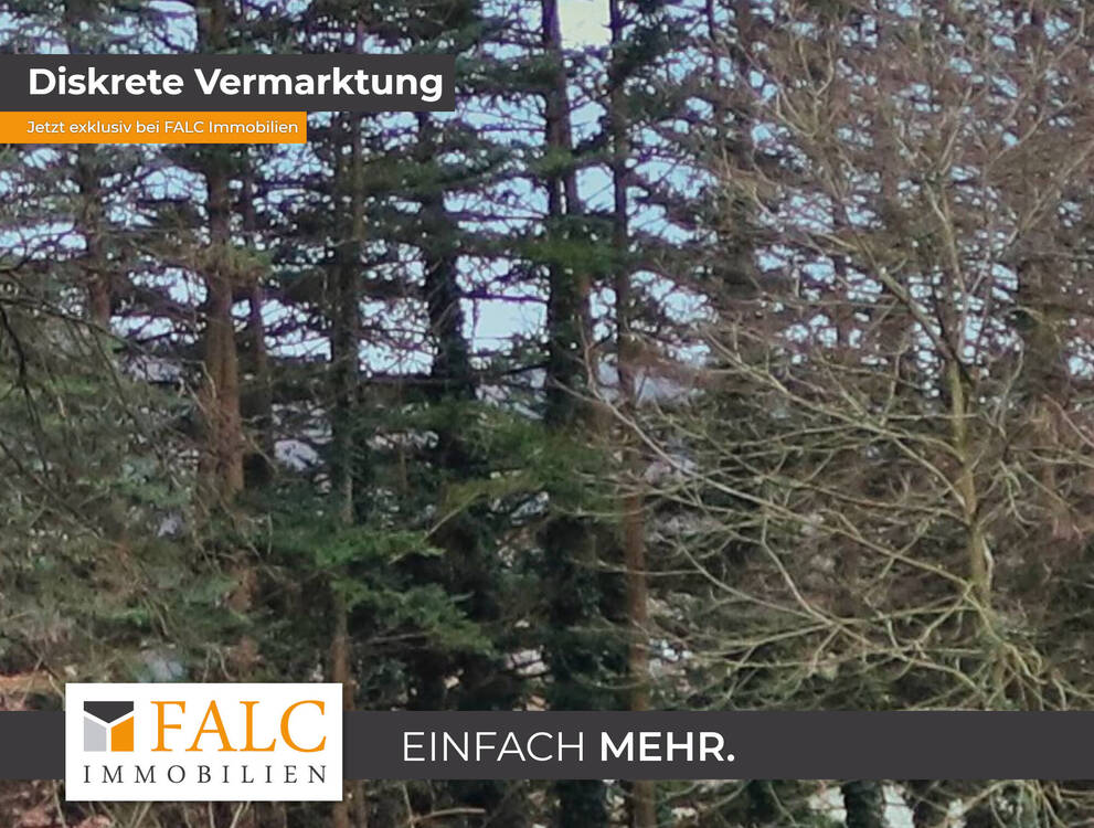 Thumbnail---Die Besondere Immobilie-- Informationen bitte anfordern --