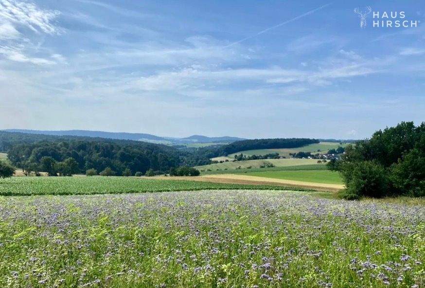 Thumbnail-Lifestyle trifft Natur: Baugrundstück am Fuß des Ziegelbergs