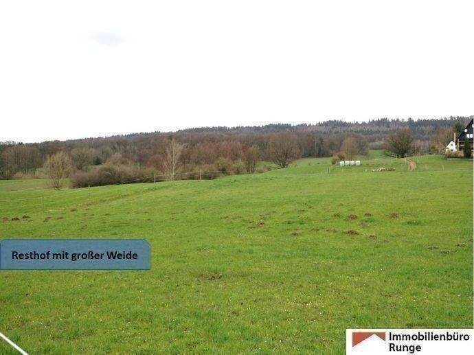 Thumbnail-15.000m² großer Resthof mit Weide, Stallungen und Scheune im Auetal (Nähe Hannover)