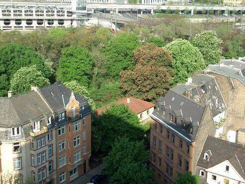 Thumbnail-Ein-Zimmer-Wohnung in der Altstadt von Mainz zu verkaufen.