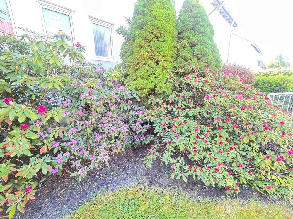 Thumbnail-SOFORT FREI: Genießen Sie den Sommer in Ihrem neuen großen Garten in Mögeldorf
