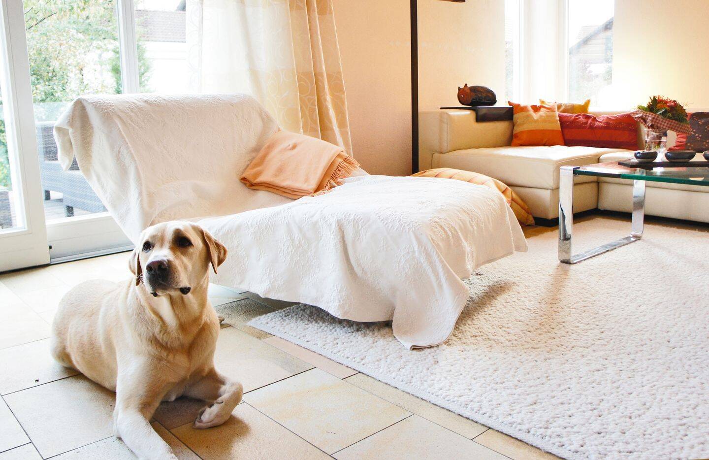 Thumbnail-Gelegenheit - Architekten-Haus in ruhiger, idyllischer Wohnlandschaft mit zwei Garagen