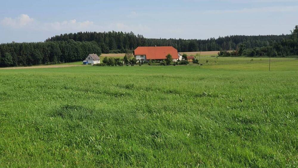 Thumbnail-20 MinutenBodensee - Landhaus Höchstes Niveau - Alleinlage - Platzwunder