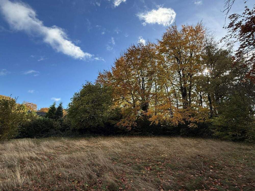 Thumbnail-Baugrundstück in Roetgen: ca. 1560 m² mit schöner Aussicht ins Grüne