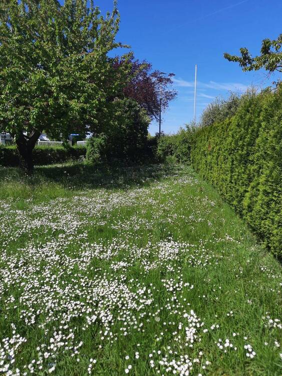 Thumbnail-Verkehrsgünstiges Grundstück mit vielfältigen Bebauungsmöglichkeiten in Geldersheim Schweinfurt