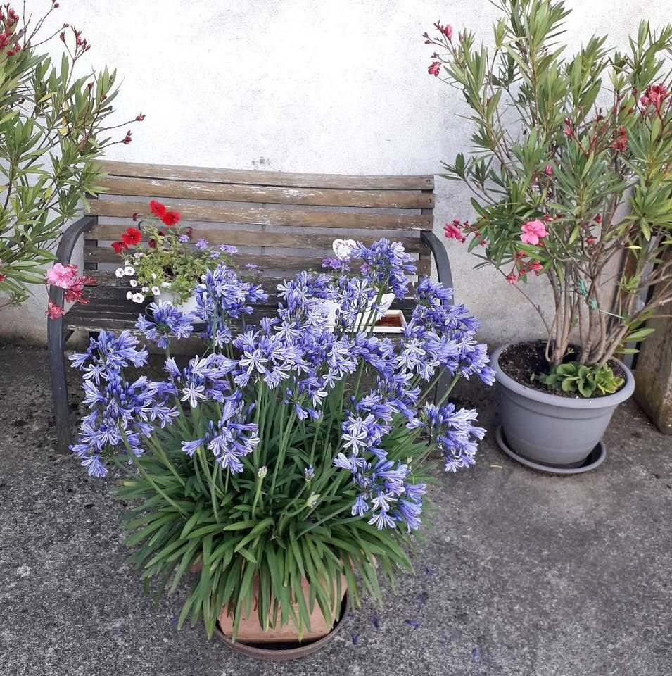 Thumbnail-Einfamilienhaus mit Einliegerwohnung und 3 Garagen auf großem Grundstück in Euerbach, OT