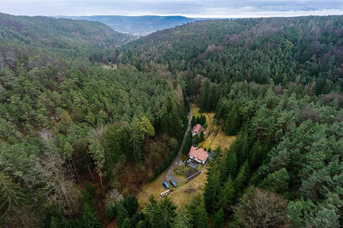 Thumbnail-*Liegenschaft in Alleinlage* - ca. 33.000 m² Waldgrundstück in Jena-Ammerbach