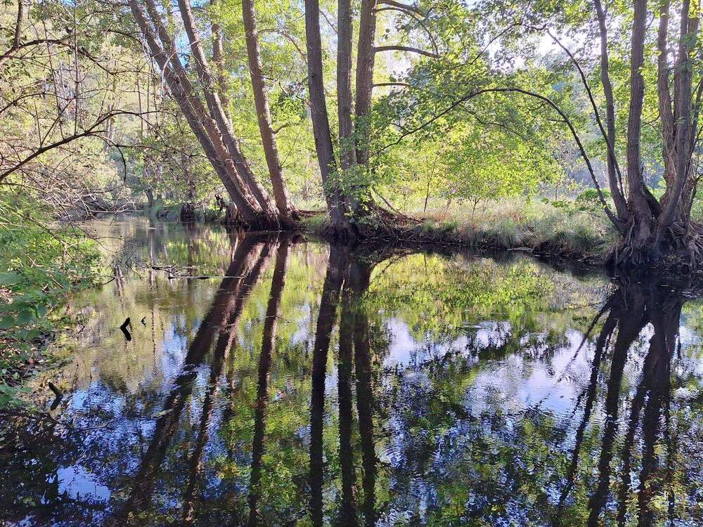 Thumbnail-Grünheide - Exklusive Rarität an der Löcknitz