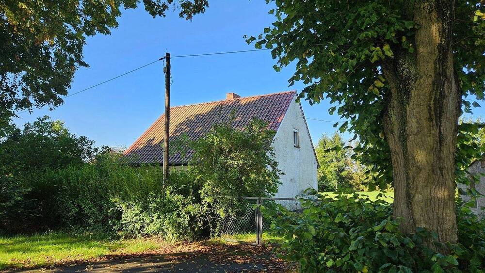 Hofzufahrt und Haus.jpg