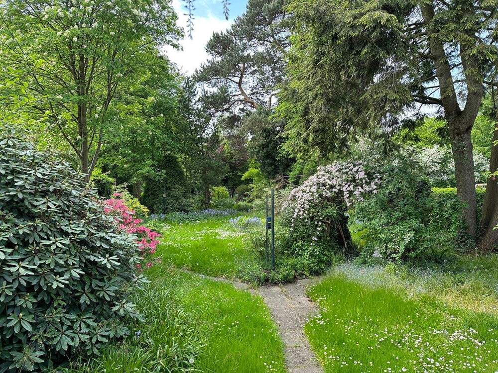 Thumbnail-Zwei Doppelhaushälften für zwei Familien | Großes Baugrundstück mit vielen Möglichkeiten