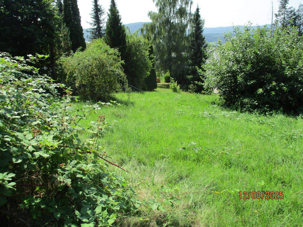 Thumbnail-Viel Sonne und schöne Aussicht ...