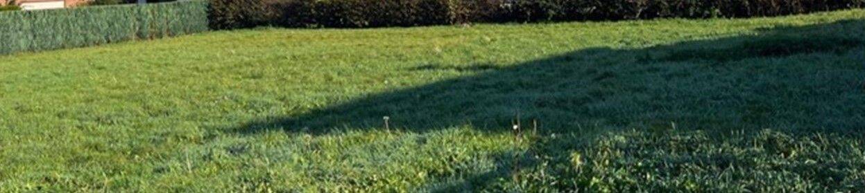 Thumbnail-Traumgrundstück im Grünen!