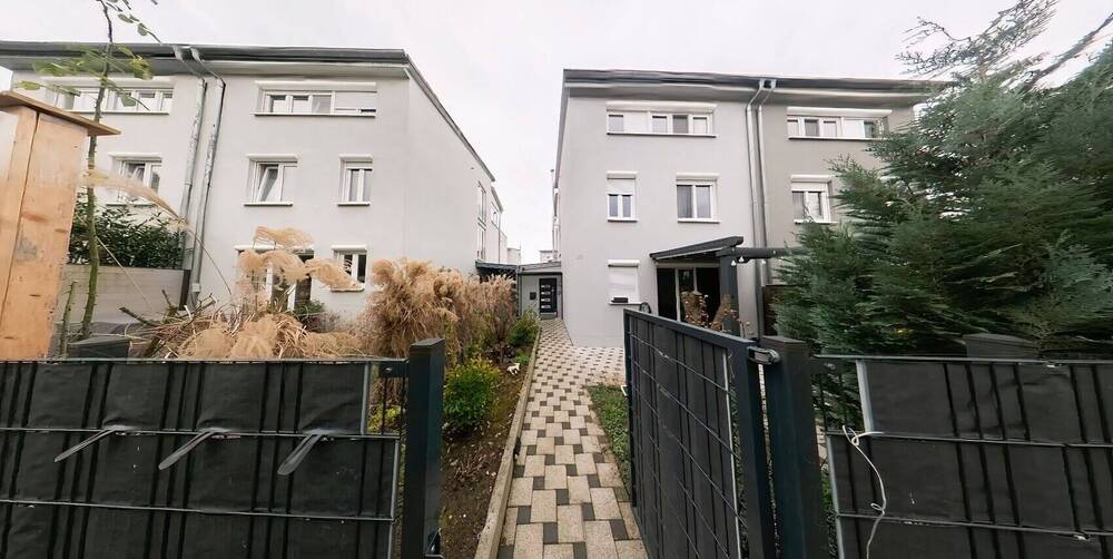 Binzen3.jpg