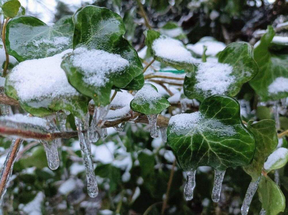 Thumbnail-Schönes Baugrundstück in Berlin Biesdorf-Süd zu verkaufen