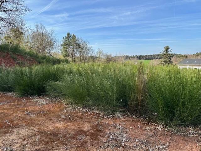 Thumbnail-Grundstück für EFH mit 2 Vollgeschossen in Burgthann-Grub