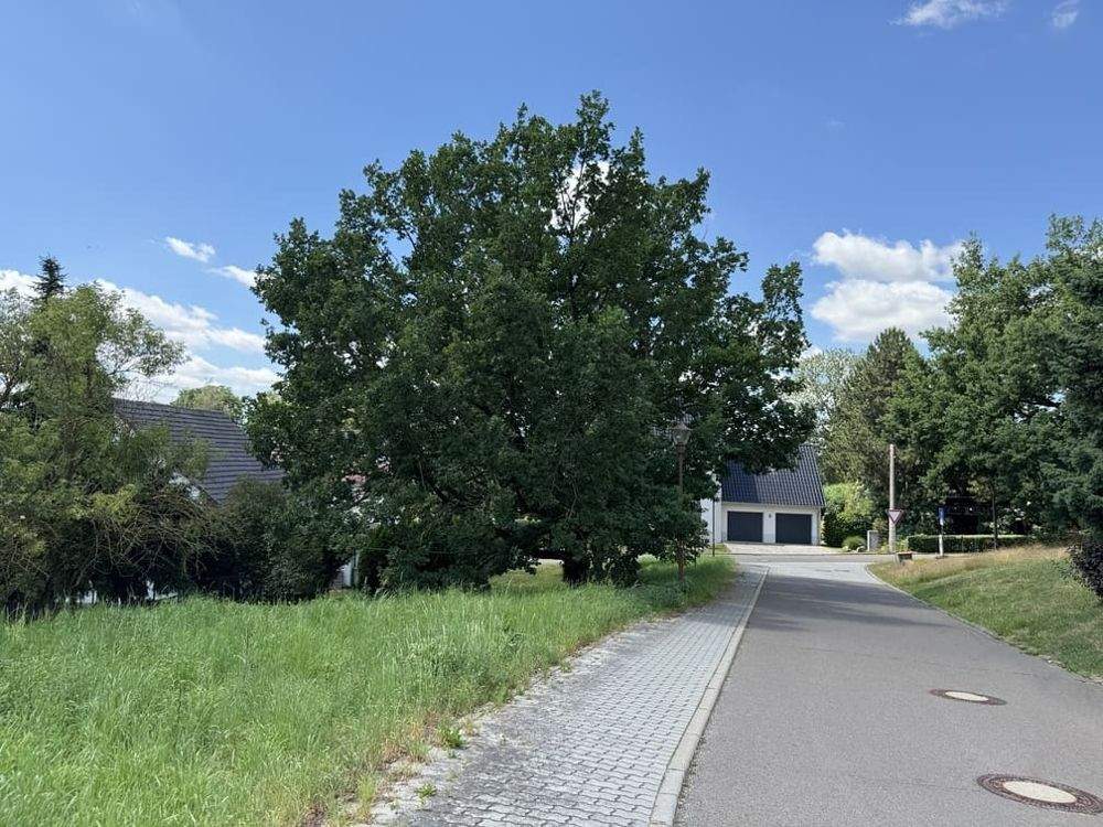 Thumbnail-Träumen war gestern - Eigenheim in Altenburg-Mockzig realisieren