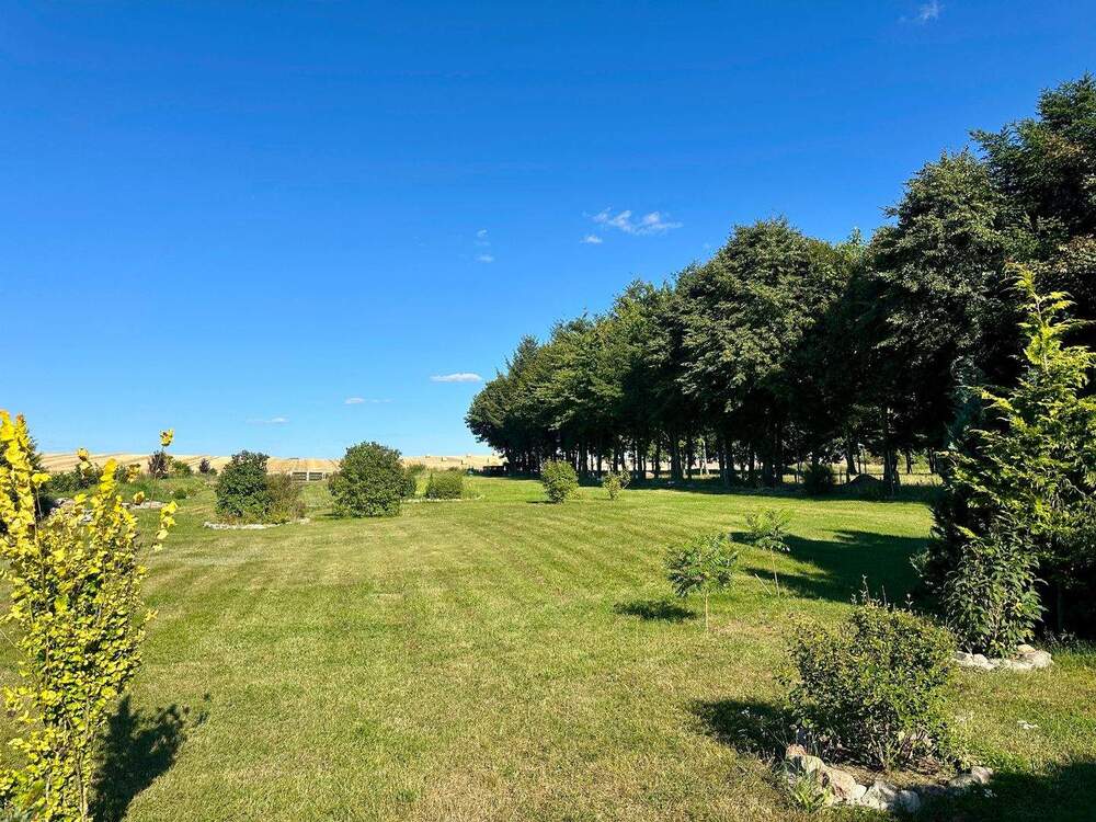 Thumbnail-Ihr Zuhause inmitten der Feldberger Seenlandschaft – Natur. Ruhe. Weitblick.