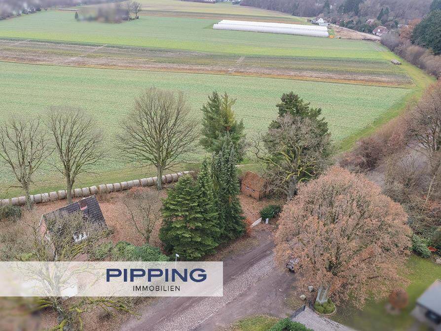 Thumbnail-Feld- und Waldrand: 