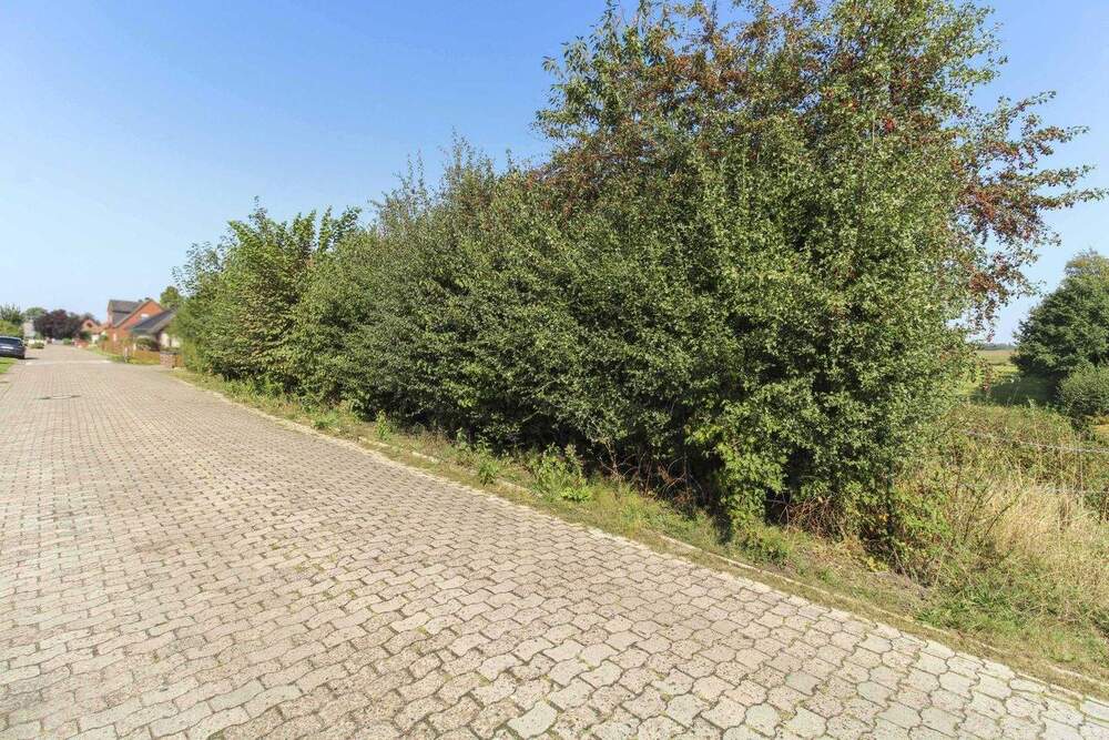 Thumbnail-Erfüllen Sie sich Ihren Traum vom Neubau! Grundstück mit Feldrandlage in der Nähe des Kreidesees