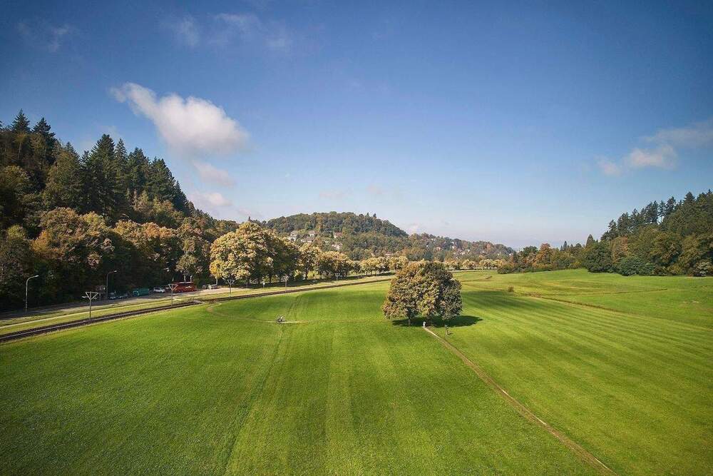 Thumbnail-Modernisiertes 4-Fam.Haus Bj. 1890 + Fabrik-Loft-Etage + viele neue Details + 405qm WNF + 528qm GS + Gartenhs + Paradiesgarten + ideal f. Aufteilg