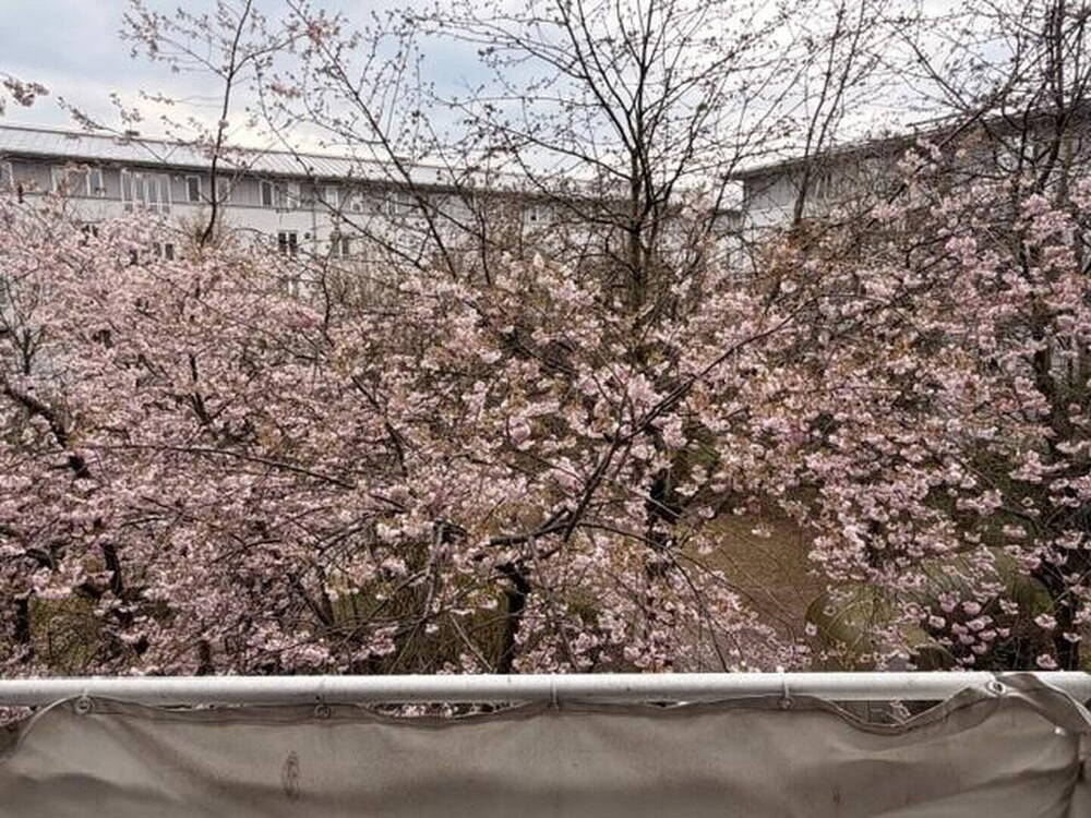 Thumbnail-Charmante 1,5-Zimmer-Wohnung mit Tiefgarage am Olympiapark - ruhig & zentral zugleich