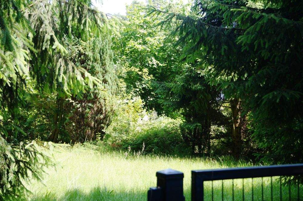 Thumbnail-Baugrundstück in Bad Saarow - Verwirklichen Sie Ihren Traum vom Eigenheim!