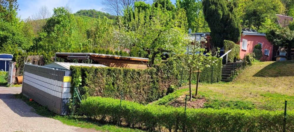 Thumbnail-Moderner Bungalow in idyllischer Naturlage - Ihr neues Zuhause in Hainrode