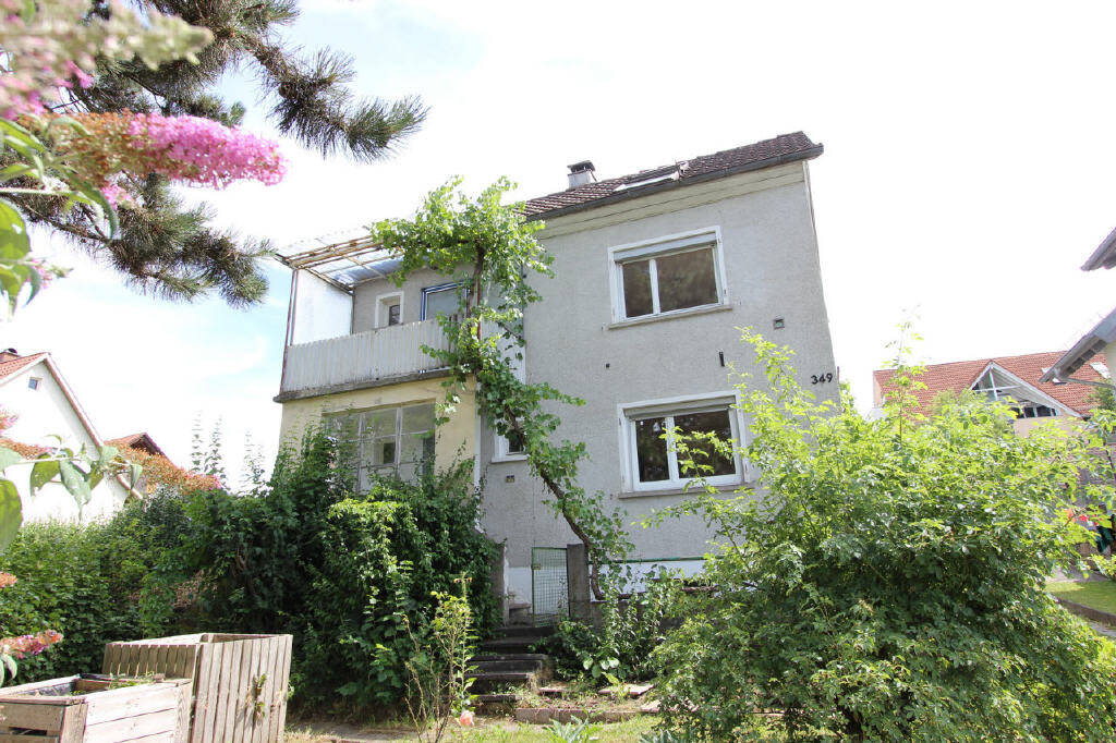 Bild1