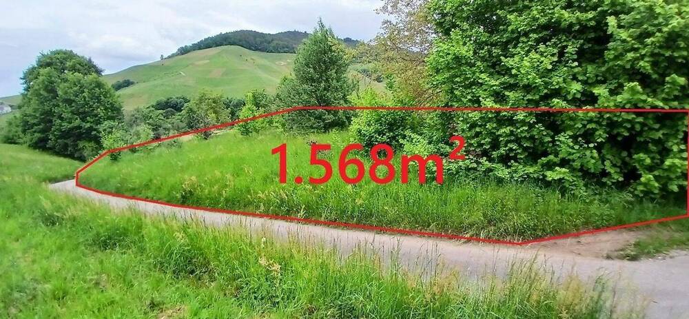 Thumbnail-Wiesengrundstück für Freizeitaktivitäten in BühlAltschweier zu verkaufen