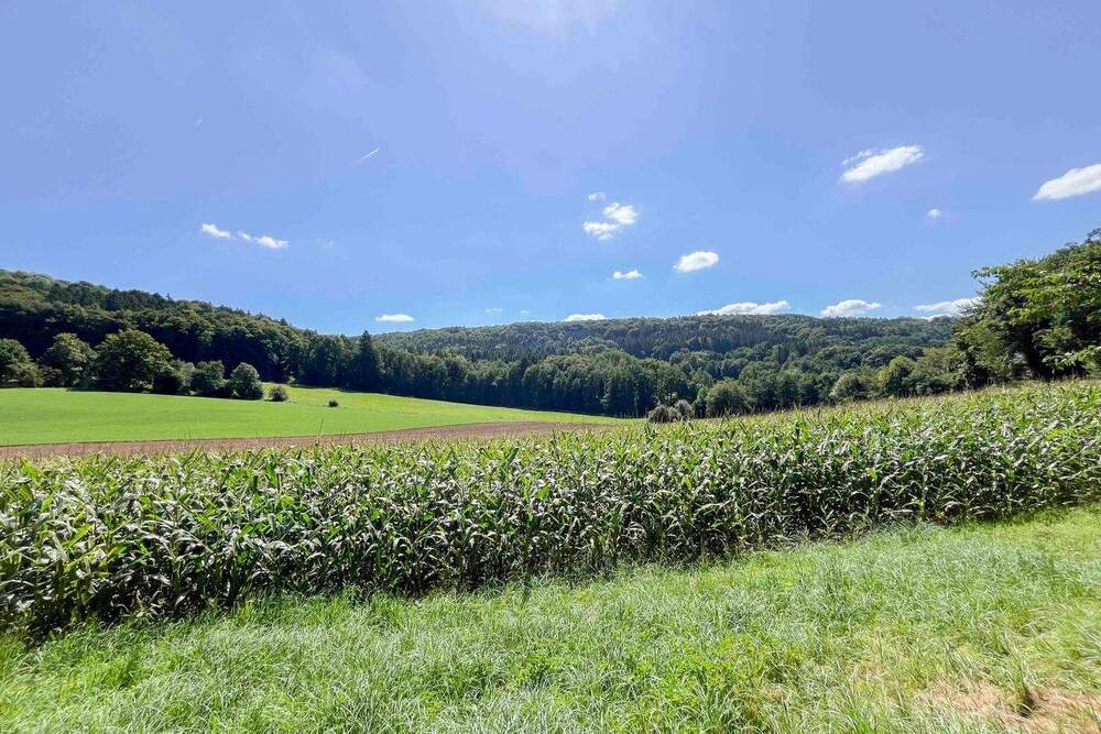 Thumbnail-Ihr Rückzugsort im Grünen - Gestalten Sie Ihr Traumhaus in idyllischer Lage
