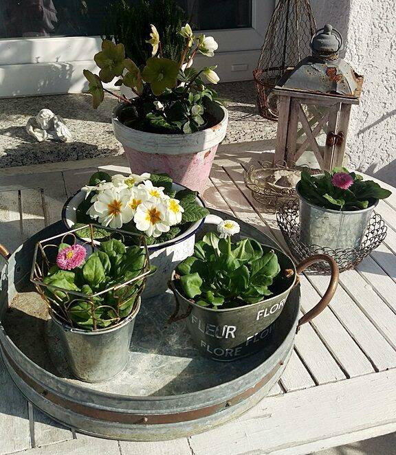 Thumbnail-Große und kleine Familien finden hier das ideale Haus