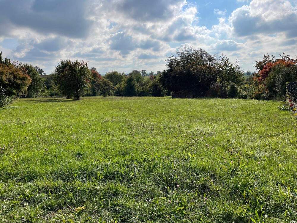 Thumbnail-Doppelhaushälfte auf Traumgrundstück mit Blick ins Grüne - Neubau am Ortsrand