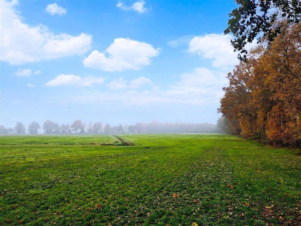Thumbnail-Grünland im Nordenholzermoor!
