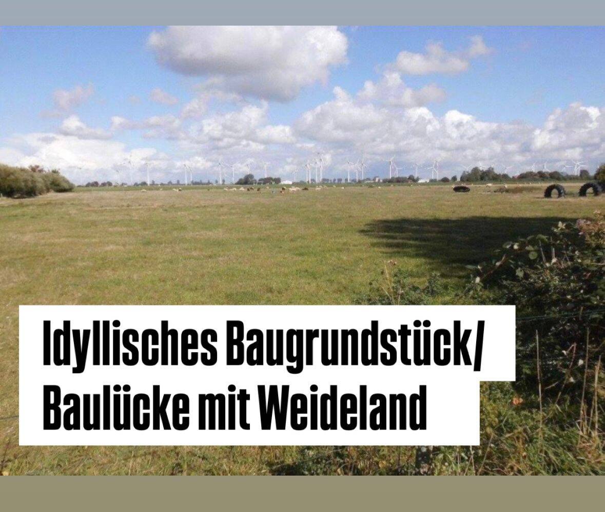 Thumbnail-Idyllisches Baugrundstück Baulücke mit Weideland