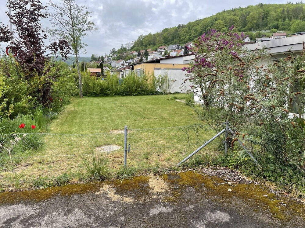 Blick in den Garten (vorne)