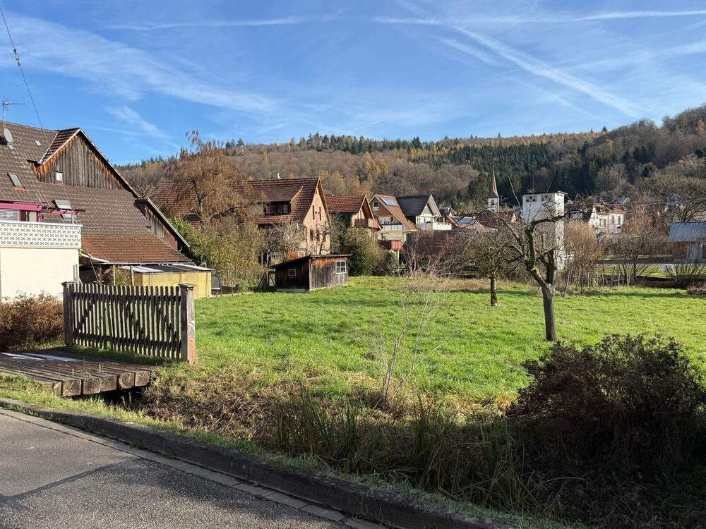 Thumbnail-Bieterverfahren - großes Baugrundstück für Ihre Traumimmobilie in Teningen-Heimbach
