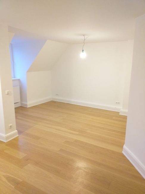 Thumbnail-Nahe Innenstadt Hamburg - 2020 sanierte helle Dachgeschosswohnung in Hamburg Horn