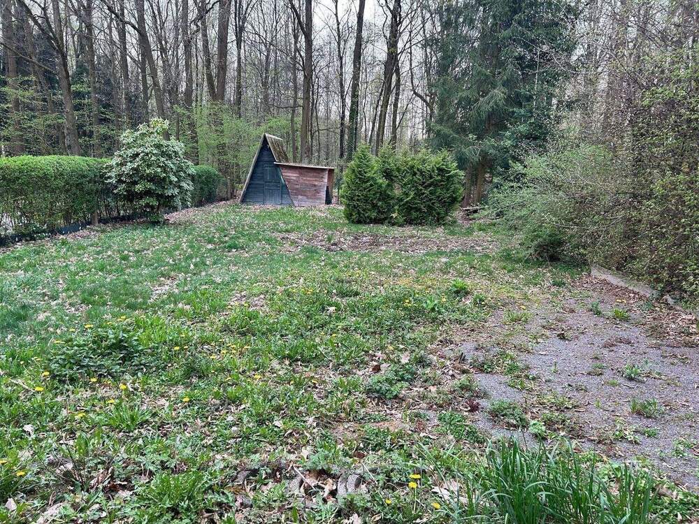 Thumbnail-+++ IDYLLISCHES Grundstück in beliebter Waldrandlage von Glösa +++