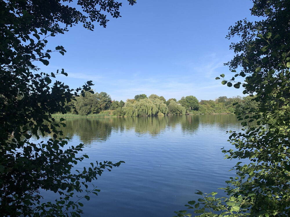 Seeblick nach Osten