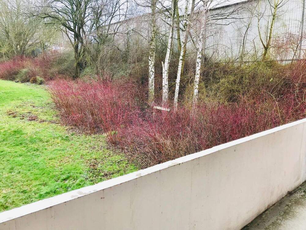 Thumbnail-EINZIEHEN & WOHLFÜHLEN: Tolle 2-Zimmer Wohnung mit Wannenbad