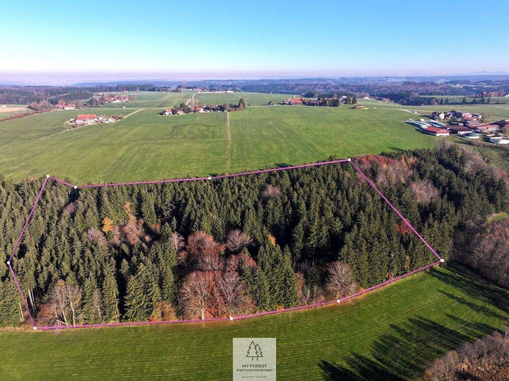 Thumbnail-Schöner FICHTENALTBESTAND in ruhiger Lage des Ostallgäus