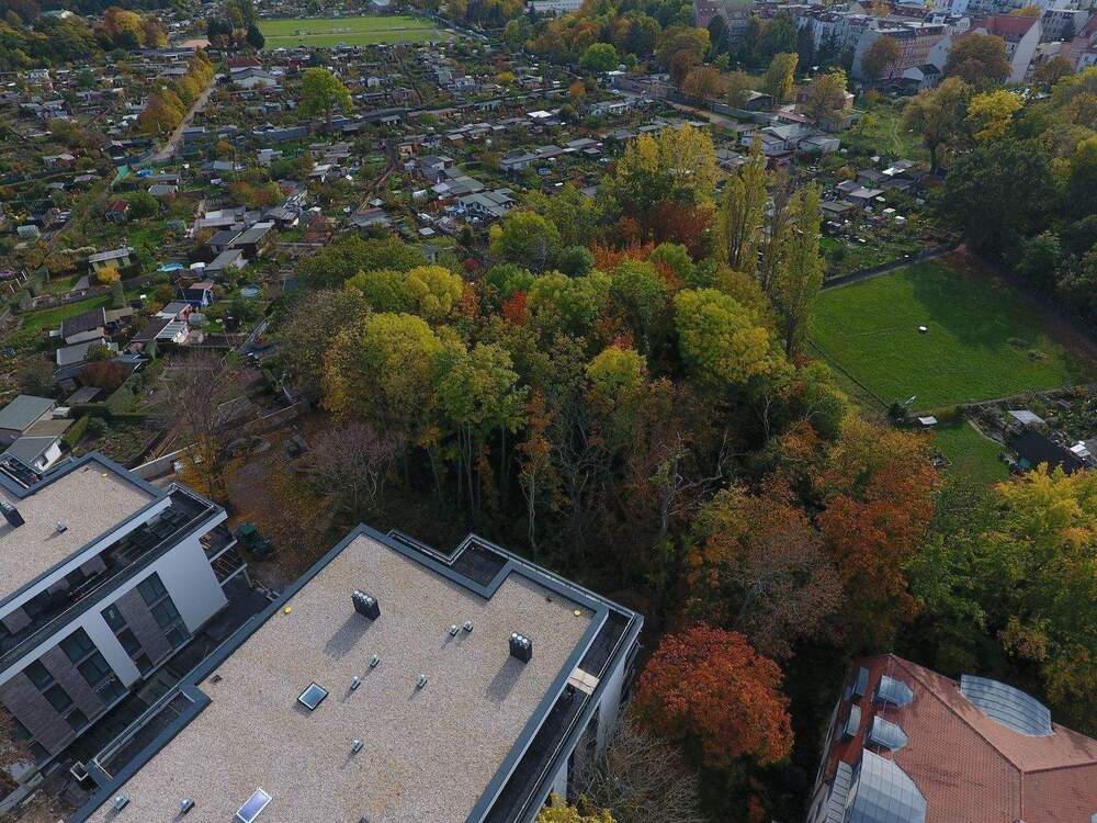Thumbnail-NEUBAU mit 5-Zimmern BLICK in den AUENWALD 70m² WOHNEN 2 x TERRASSEN KAMIN 2 x TG-SP ca. 7.000m² eingezäunter Gemeinschaftsgarten
