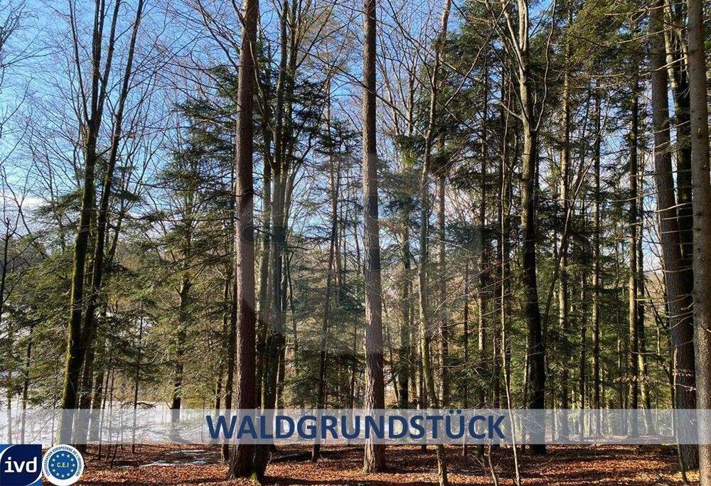 Thumbnail-SCHÖNES WALDGRUNDSTÜCK CA. 1045 M² GRUNDSTÜCKSFLÄCHE