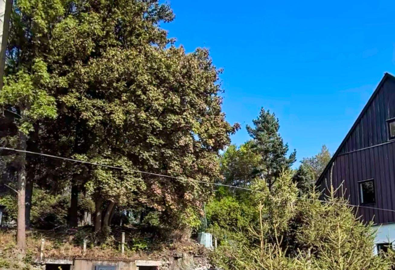 Thumbnail-Grundstück für Ihr Ein- oder Mehrfamilienhaus in zentraler Lage von Altenberg